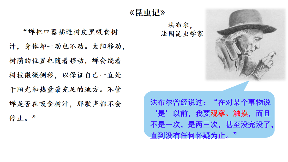 17719025第3页