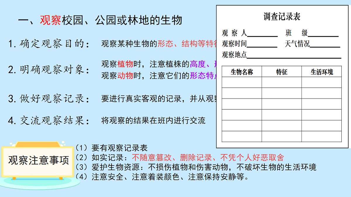 17719025第4页