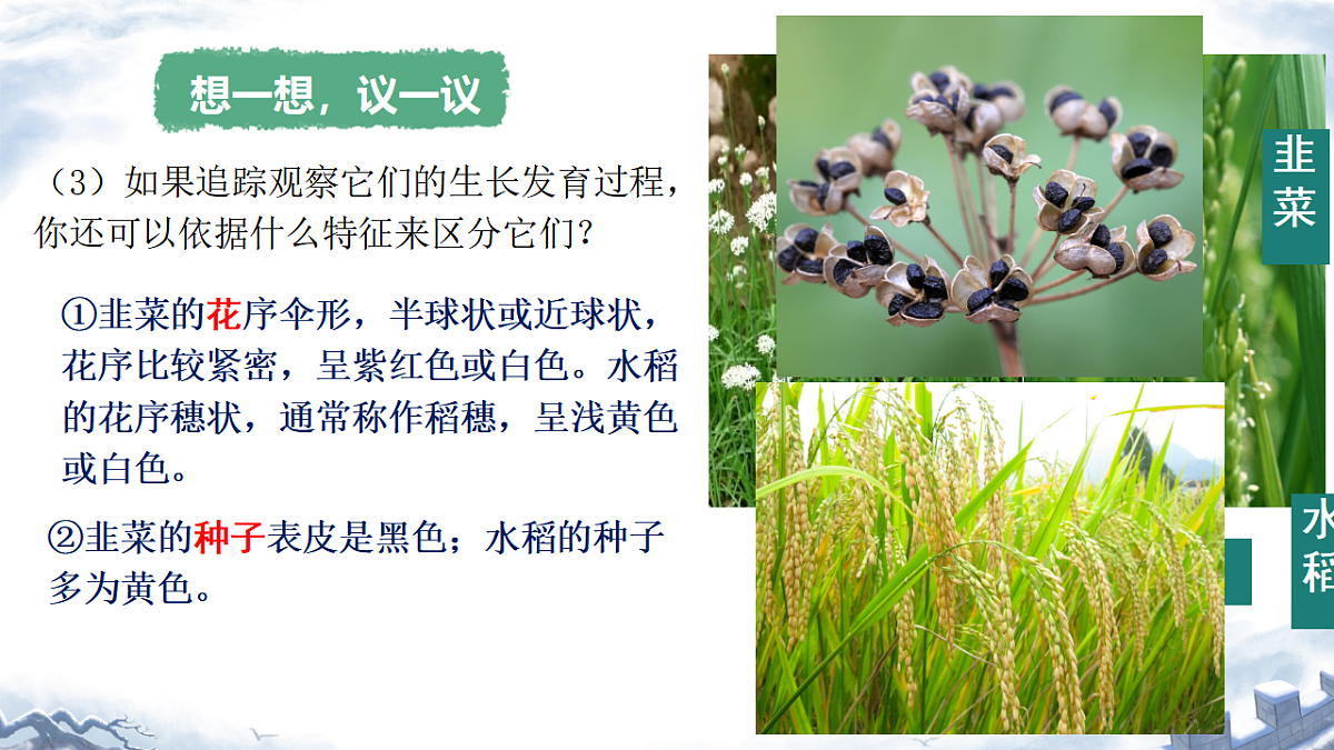 17719026第5页