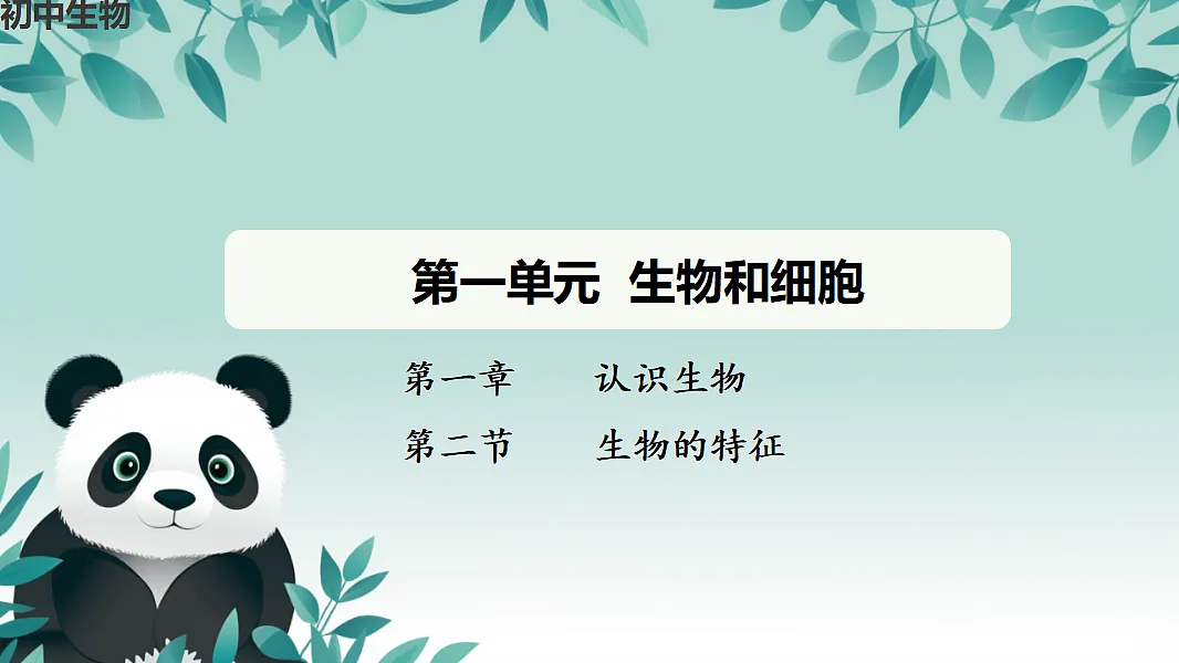 17719044第1页