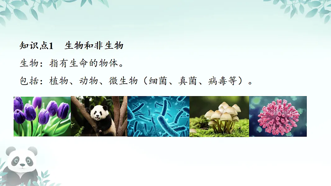 17719044第3页