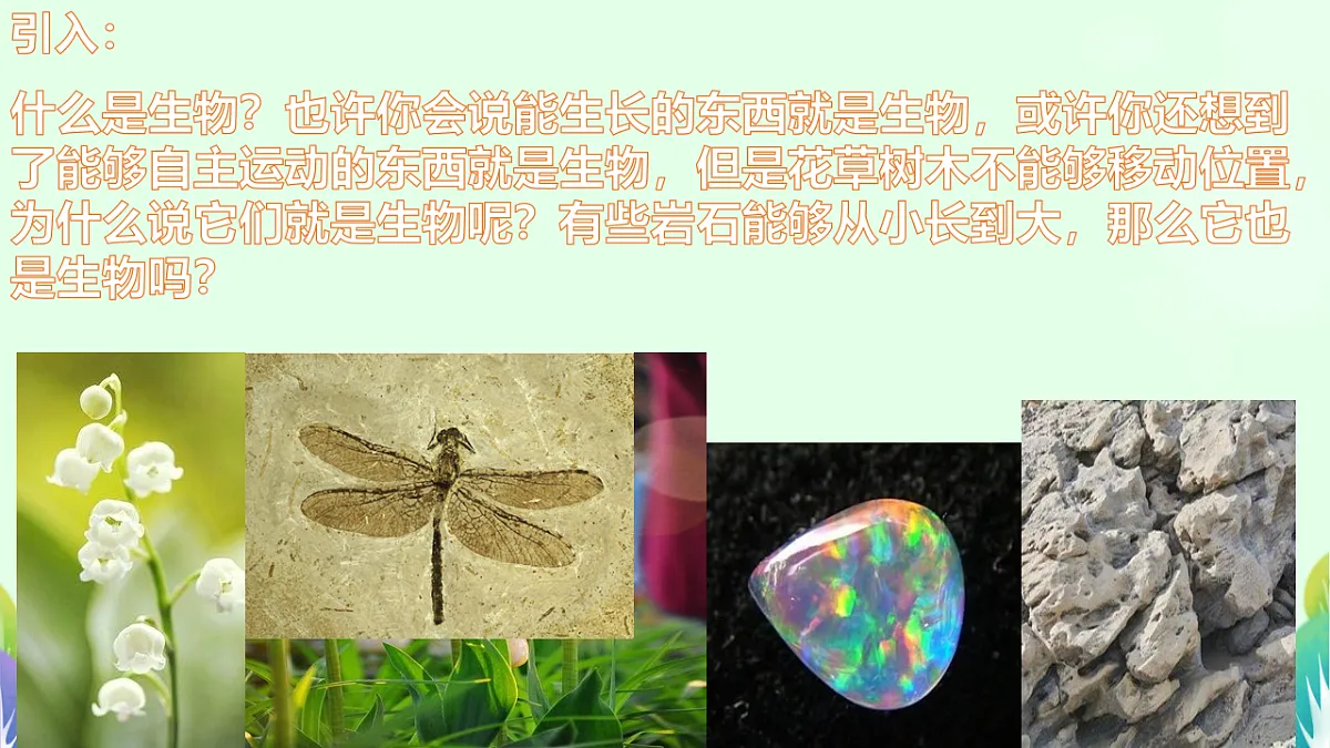 17719045第4页