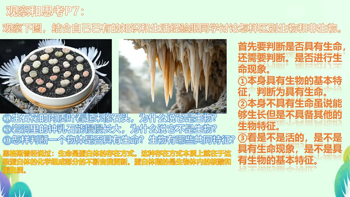 17719045第5页