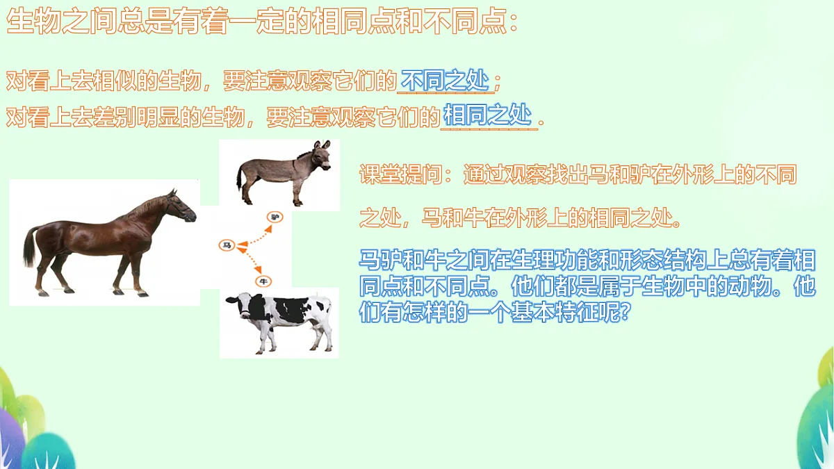 17719045第7页