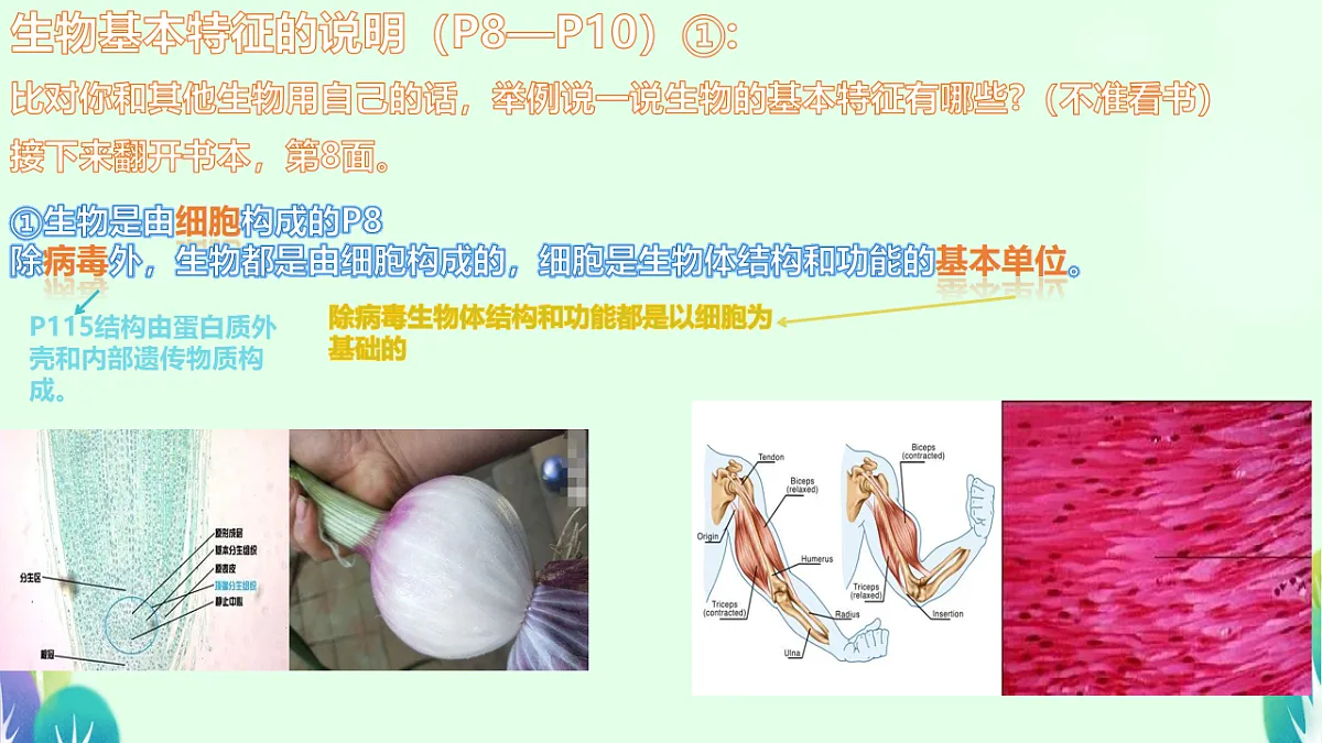 17719045第8页