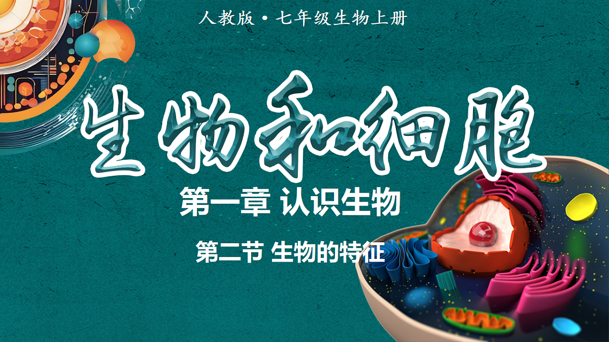 17719046第1页
