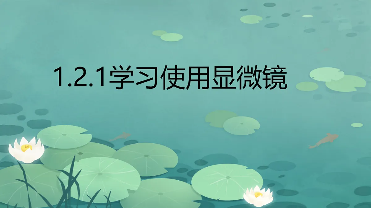 17719047第1页