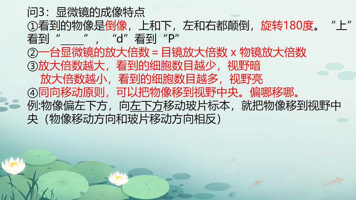 17719047第4页
