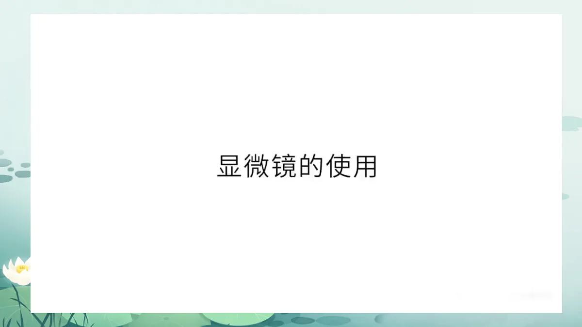 17719047第5页