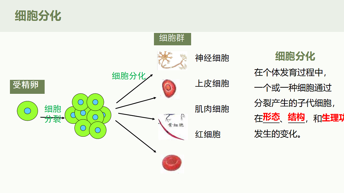 17719071第4页