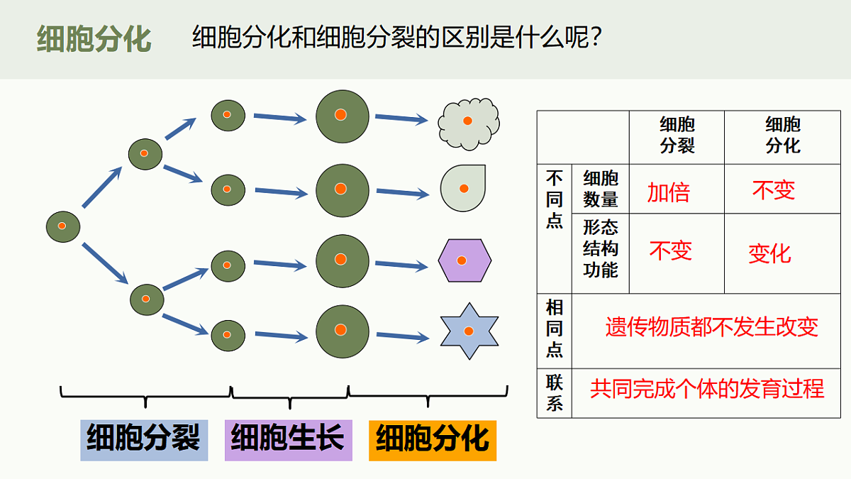 17719071第6页