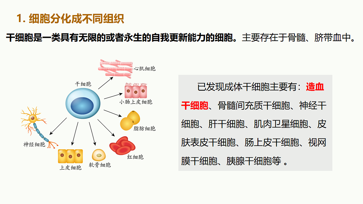 17719071第7页