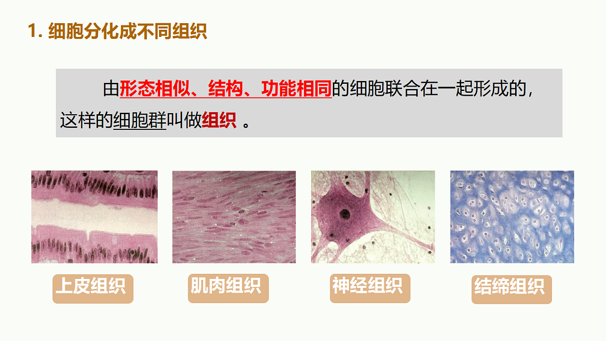 17719071第8页
