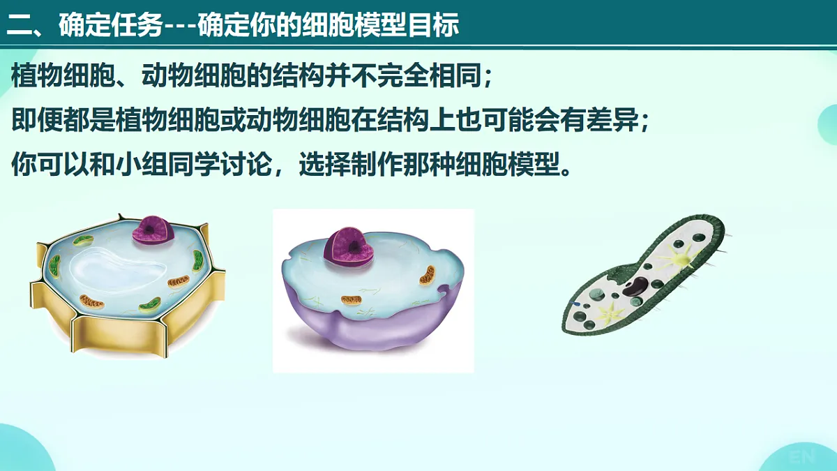 17719073第3页