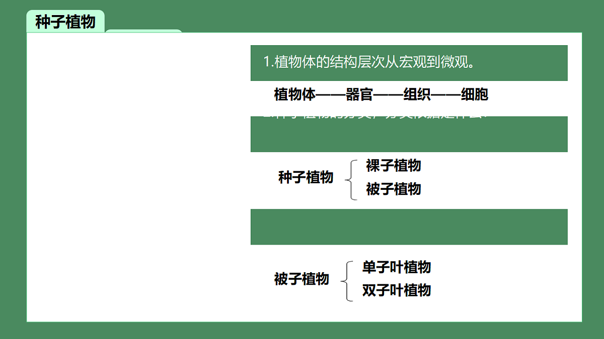 17719131第5页