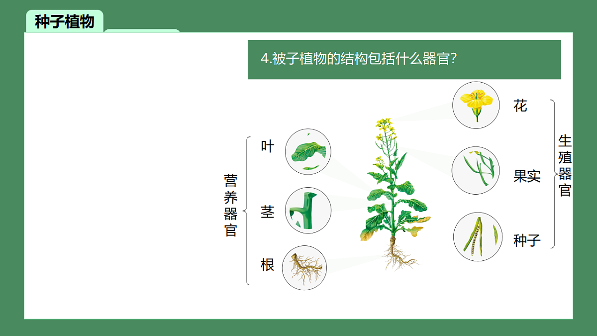17719131第6页
