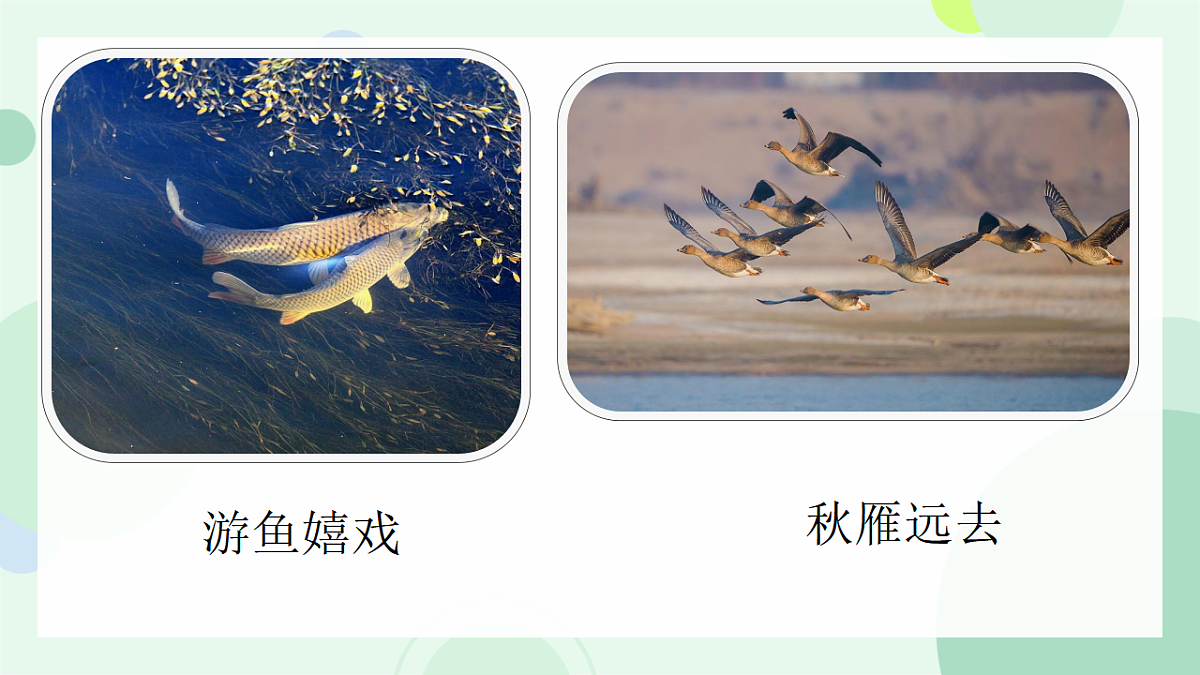 17719501第3页