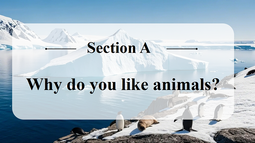 Unit 1 课时 3 Section A  2a→2f第2页