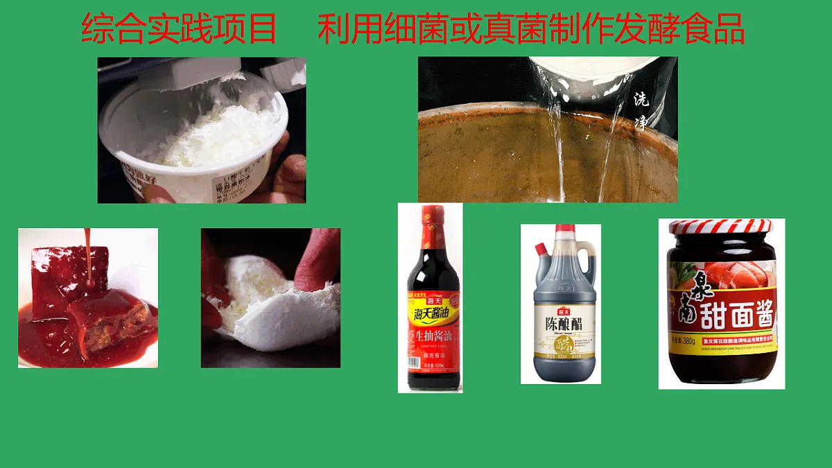 17719629第1页