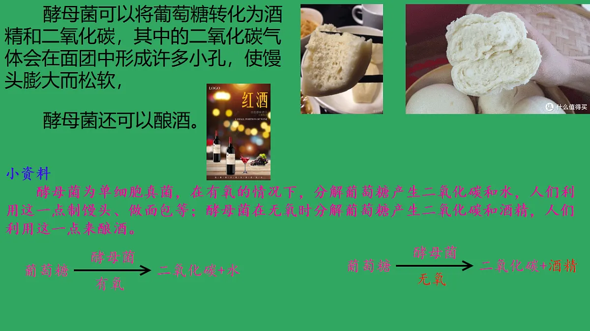 17719629第4页