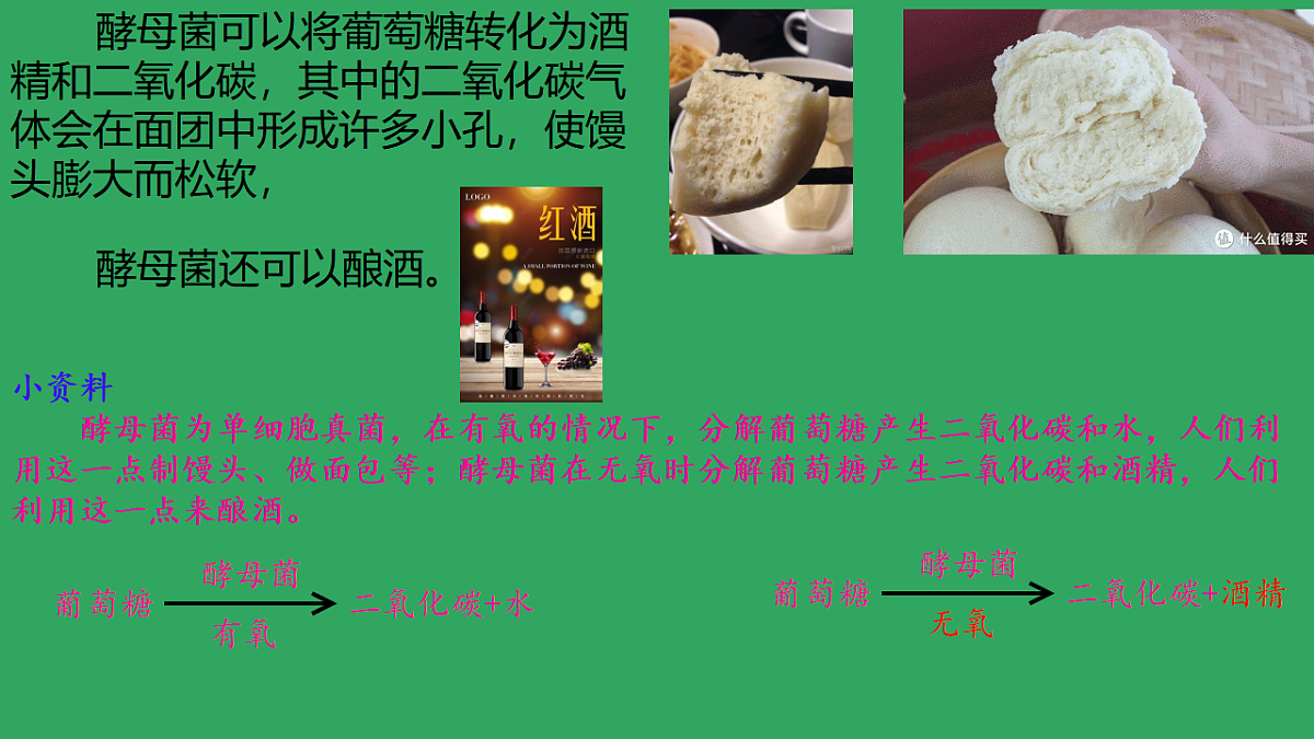 17719629第4页