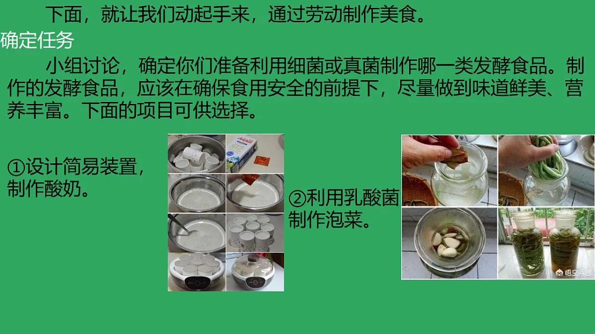 17719629第5页
