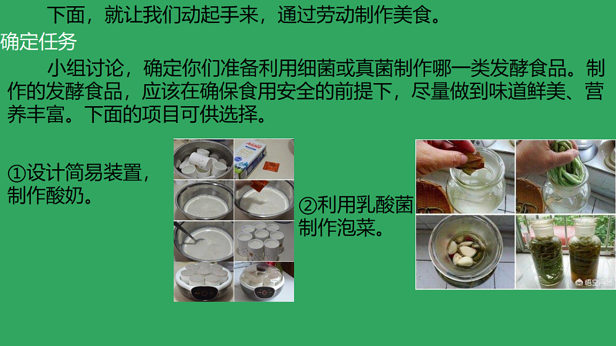 17719629第5页