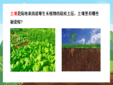 4.16 采集土壤 课件 2025-2026学年科学三年级上册湘科版