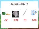 4.16 采集土壤 课件 2025-2026学年科学三年级上册湘科版