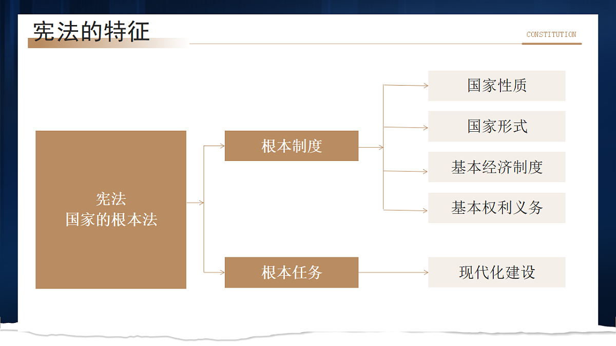 17719920第8页