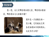 第一节 基因与生物性状的关系 课件-2025-2026学年人教版生物八年级下册