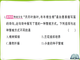 第六单元第一章 生物的生殖综合训练（复习课件 含答案）-2025-2026学年人教版生物八年级下册