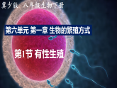 冀少版（2024）生物八年级下册 6.1.1  有性生殖（课件）