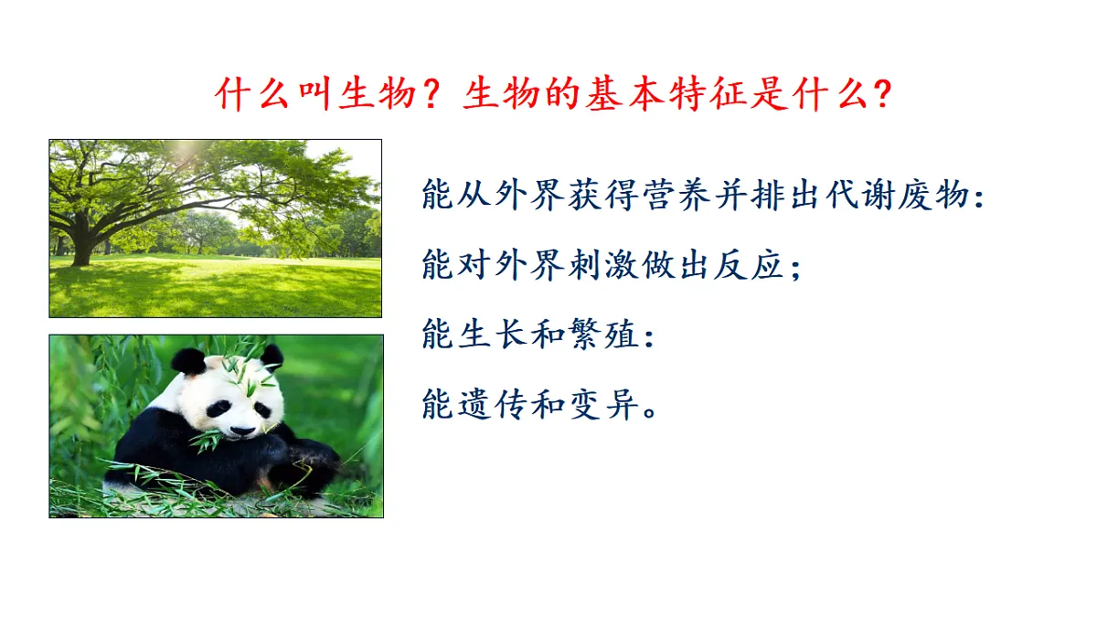 17721801第2页