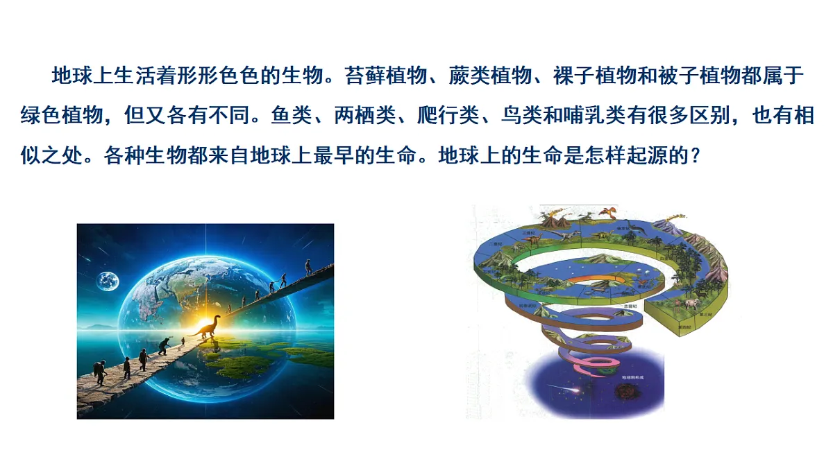 17721801第3页