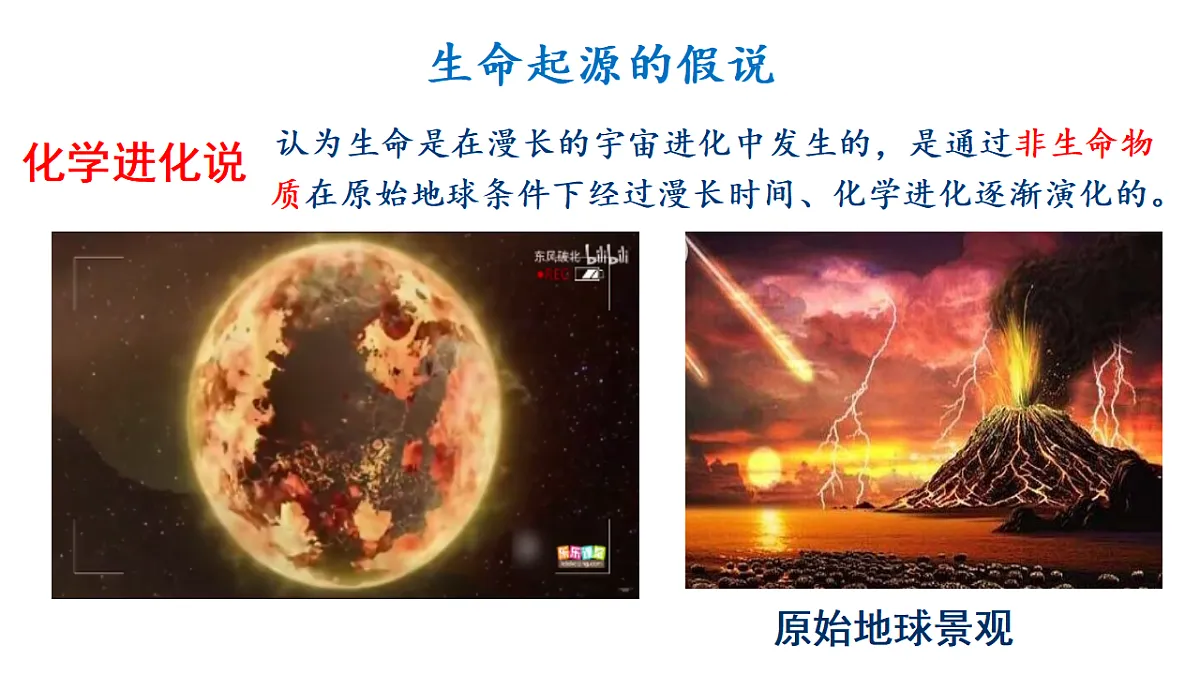 17721801第5页