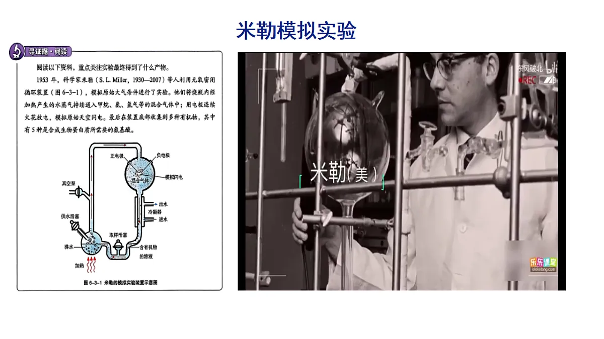 17721801第8页