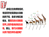 冀少版（2024）生物八年级下册 6.3.3 生物进化的原因（课件）