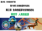 冀少版（2024）生物八年级下册 6.3.4 人类的起源（课件）