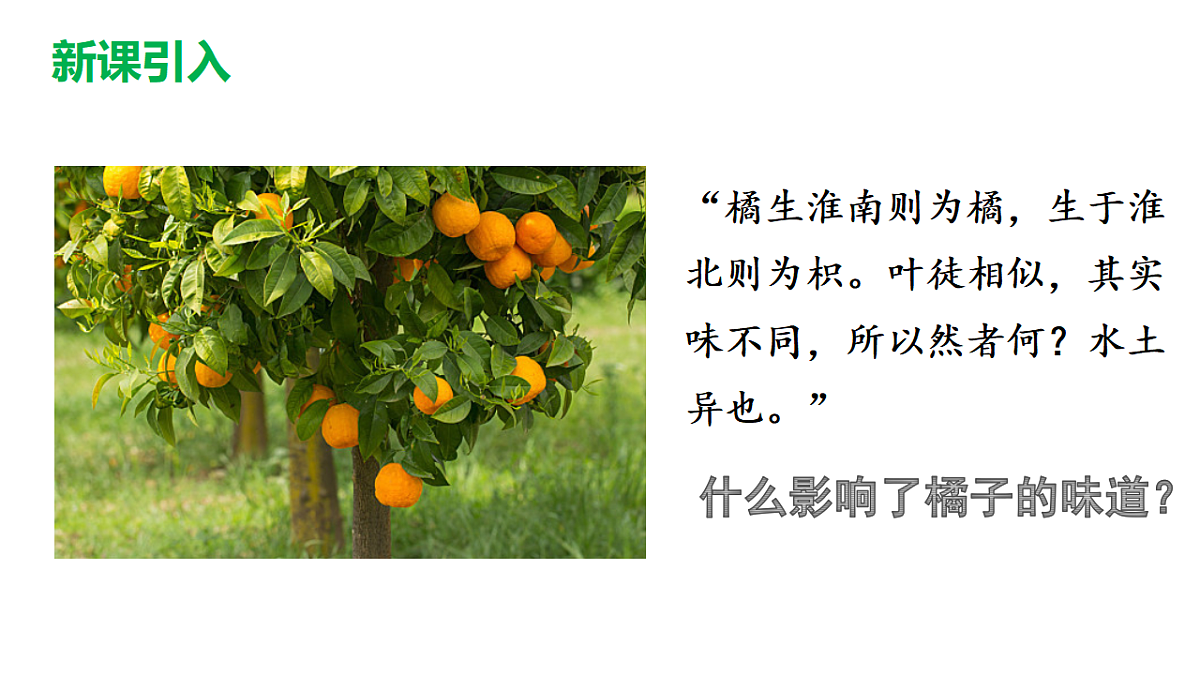 17721805第2页