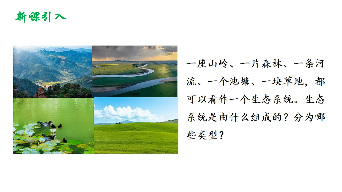 17721806第2页