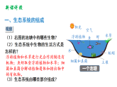 冀少版（2024）生物八年级下册 7.1.3 生态系统的组成和类型（课件）