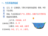 冀少版（2024）生物八年级下册 7.1.3 生态系统的组成和类型（课件）