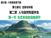 冀少版（2024）生物八年级下册 7.2.1 生态系统的自我调节（课件）