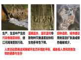 冀少版（2024）生物八年级下册 7.2.2 保障生态安全（课件）