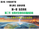 冀少版（2024）生物八年级下册 7.1.2.2 生物对环境的适应和影响（课件）