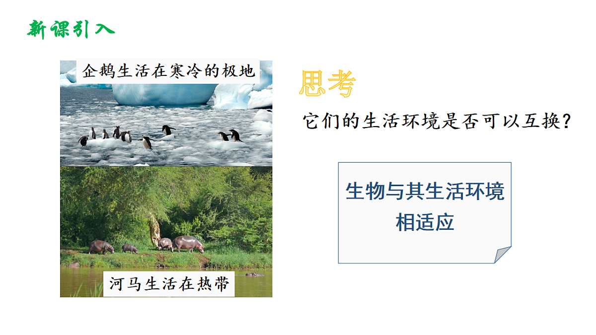17721815第2页