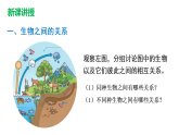 冀少版（2024）生物八年级下册 7.1.2.1 生物因素对生物的影响（课件）
