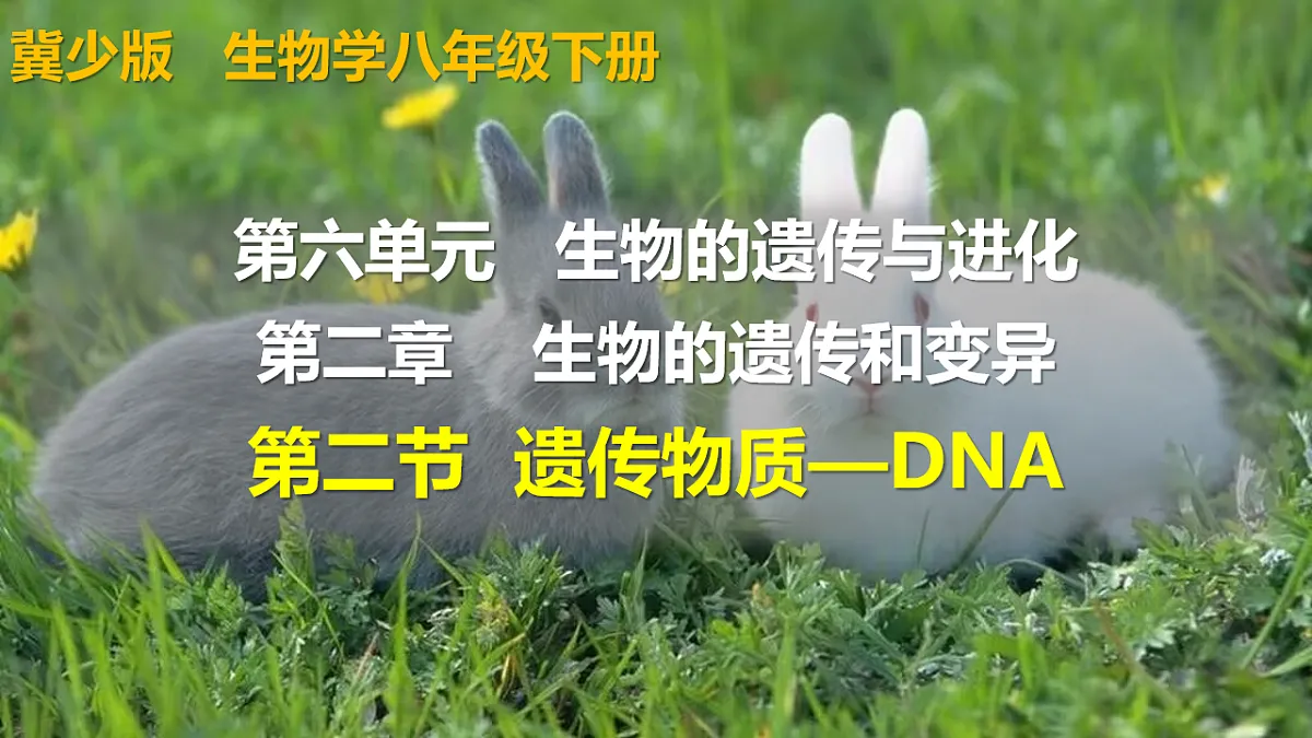 17721817第1页