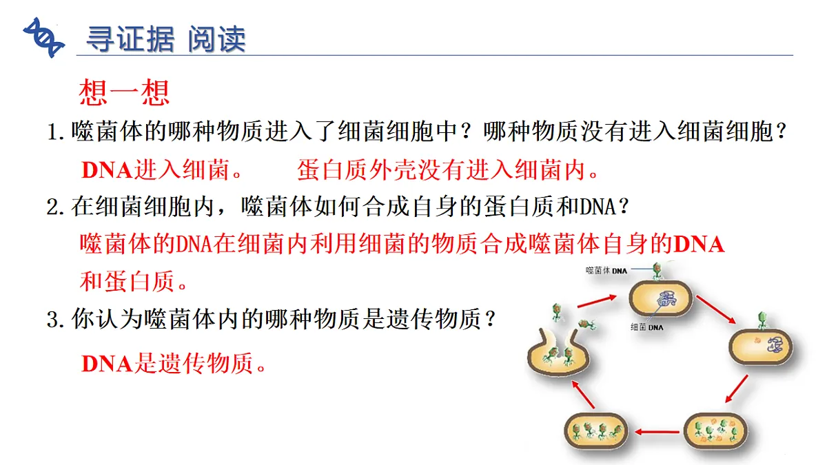17721817第4页